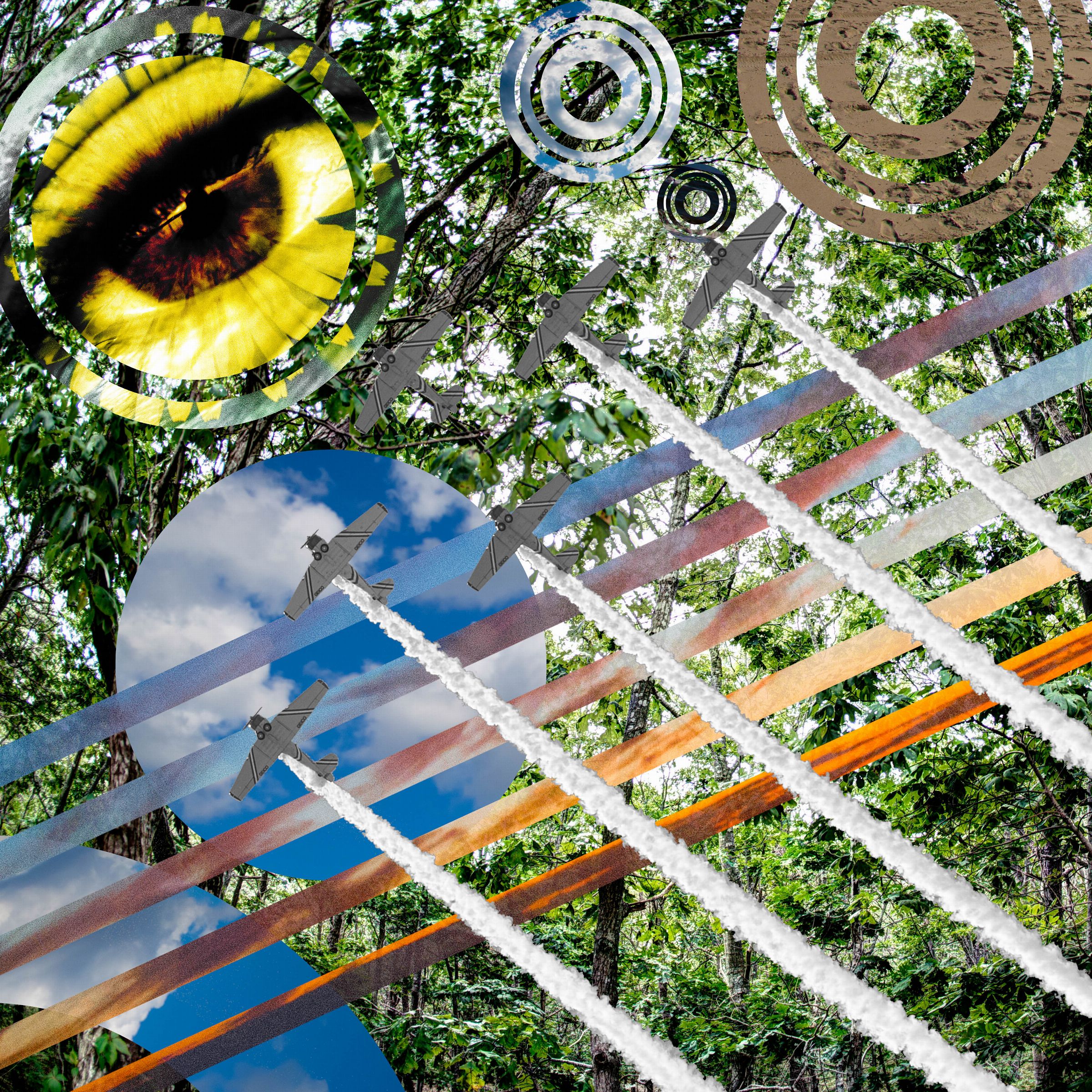 The Random Collection